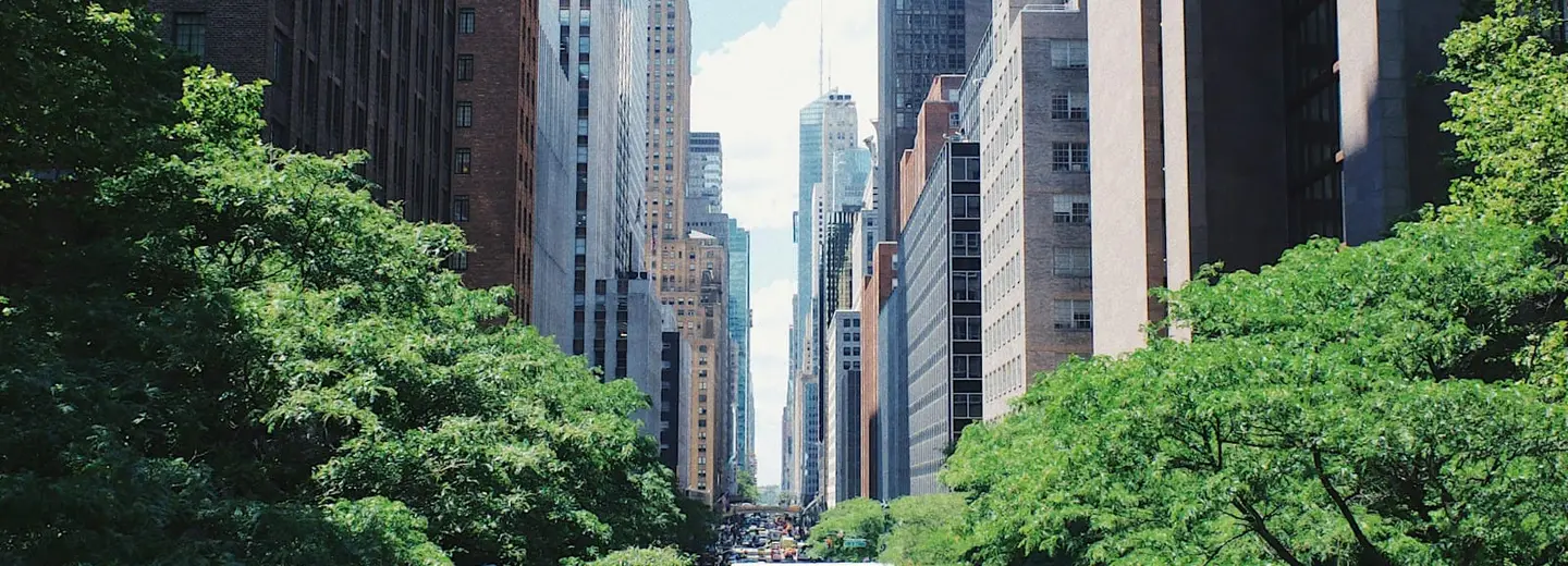 A Manhattan avenue in summer, a yellow cab in the foreground and the Chrysler Building down the street